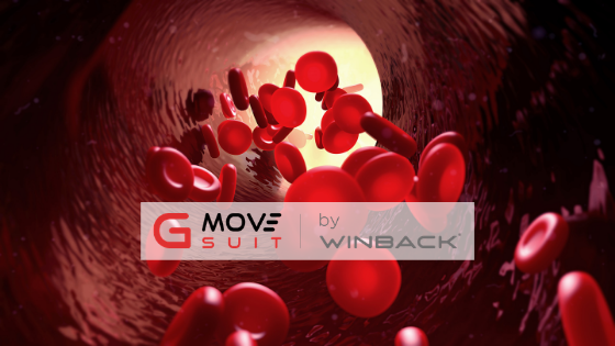 Circulation des globules rouges dans le sang